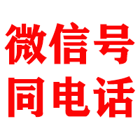 永仁金鑫追账公司